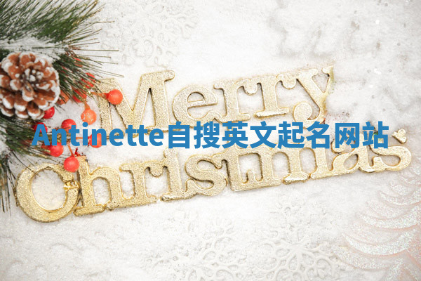 Antinette自搜英文起名网站