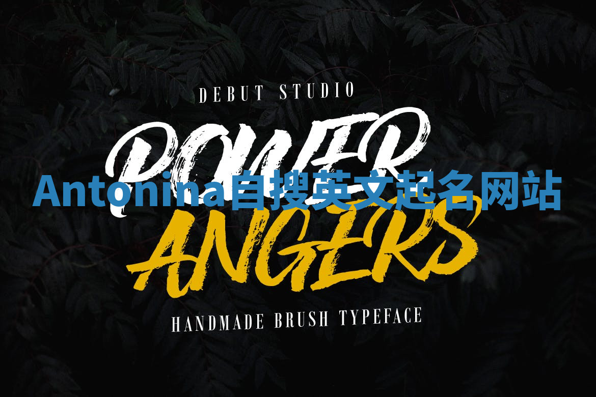 Antonina自搜英文起名网站