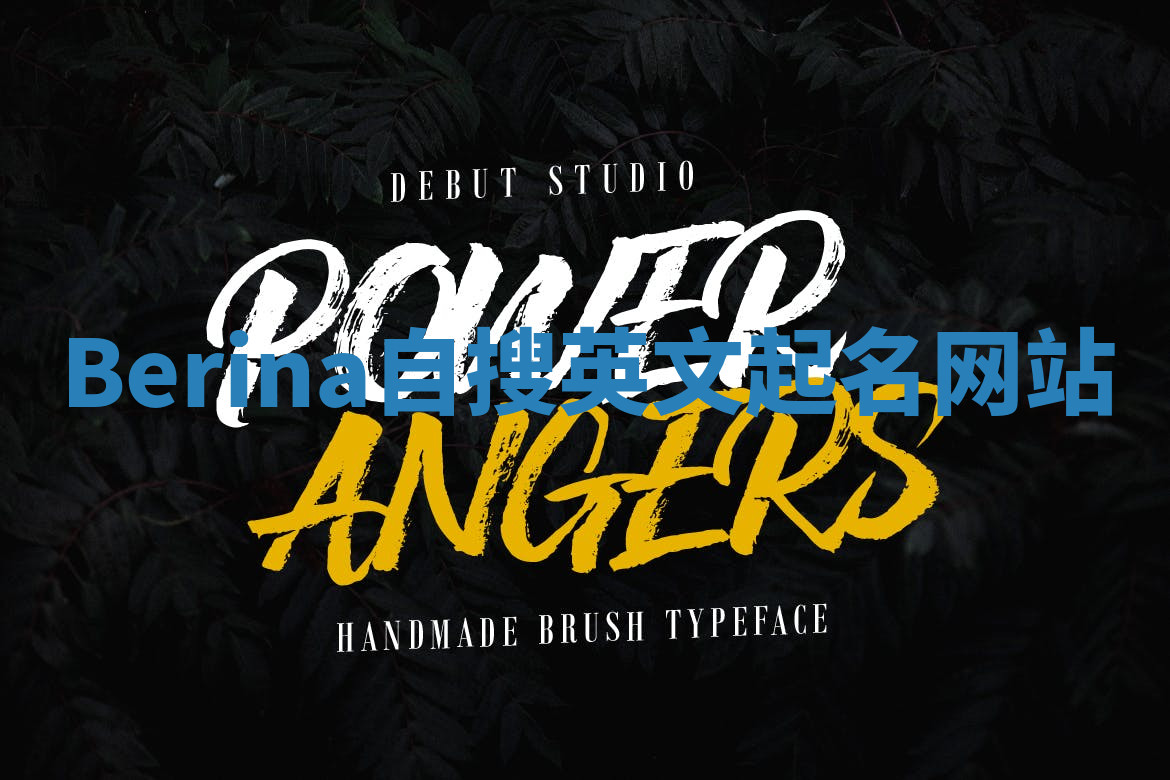 Berina自搜英文起名网站