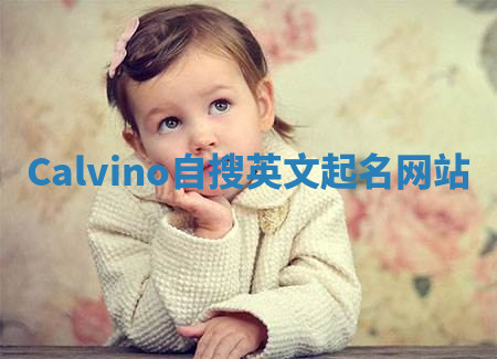 Calvino自搜英文起名网站