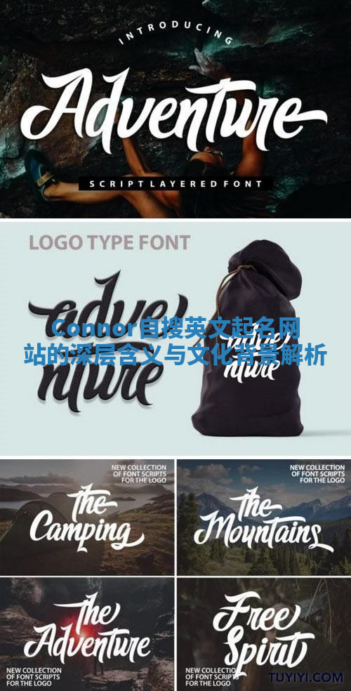 Connor自搜英文起名网站的深层含义与文化背景解析