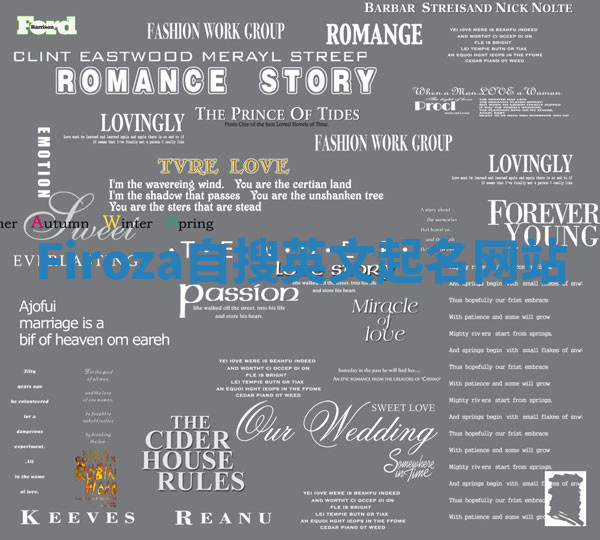 Firoza自搜英文起名网站 Firoza自搜英文起名网站