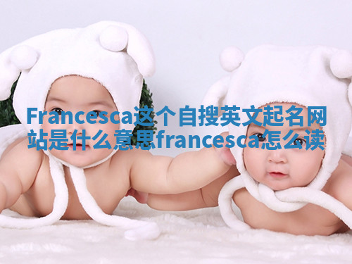 Francesca这个自搜英文起名网站是什么意思_francesca怎么读