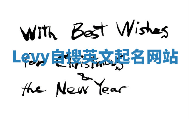 Levy自搜英文起名网站