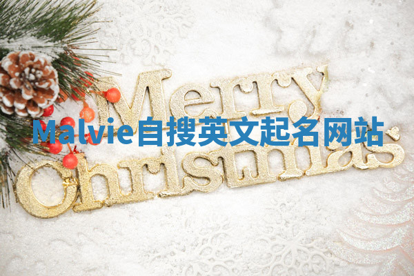 Malvie自搜英文起名网站