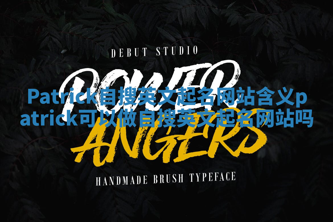 Patrick自搜英文起名网站含义 patrick可以做自搜英文起名网站吗 Patrick自搜英文起名网站含义 patrick可以做自搜英文起名网站吗