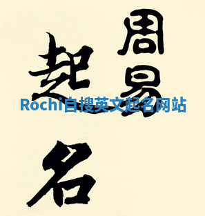 Rochi自搜英文起名网站 Rochi自搜英文起名网站