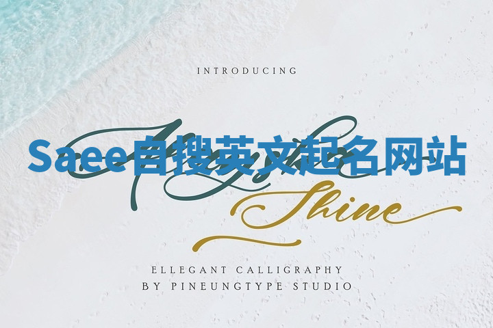 Saee自搜英文起名网站