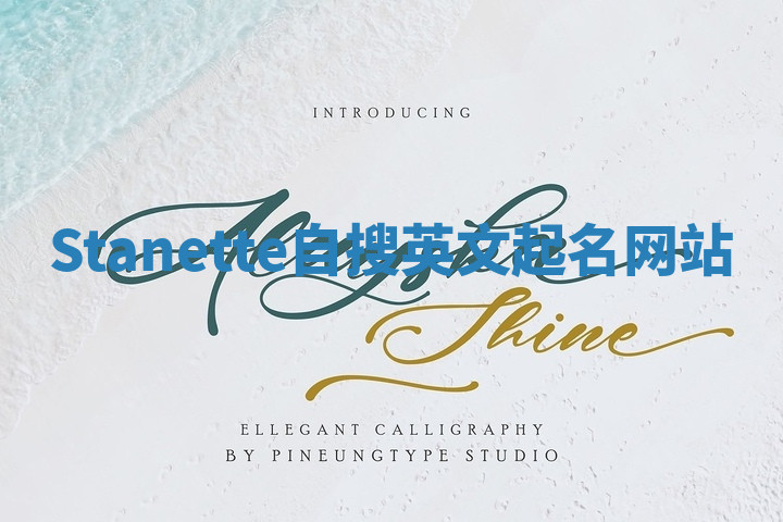 Stanette自搜英文起名网站