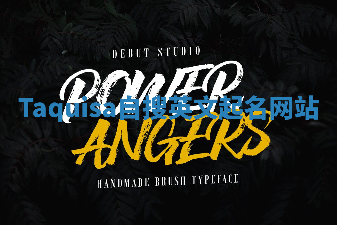 Taquisa自搜英文起名网站