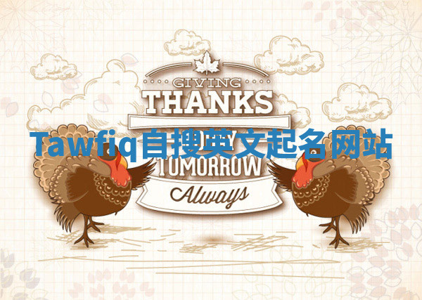 Tawfiq自搜英文起名网站