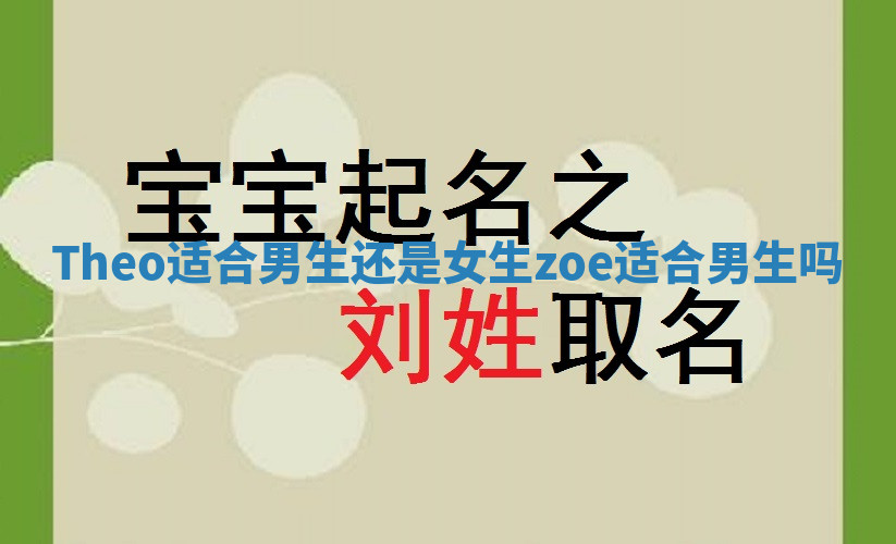 Theo适合男生还是女生 zoe适合男生吗 Theo适合男生还是女生 zoe适合男生吗
