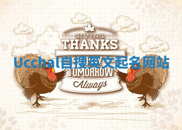 Ucchal自搜英文起名网站 Ucchal自搜英文起名网站
