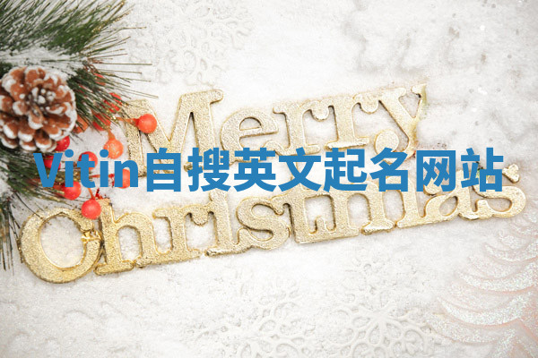Vitin自搜英文起名网站