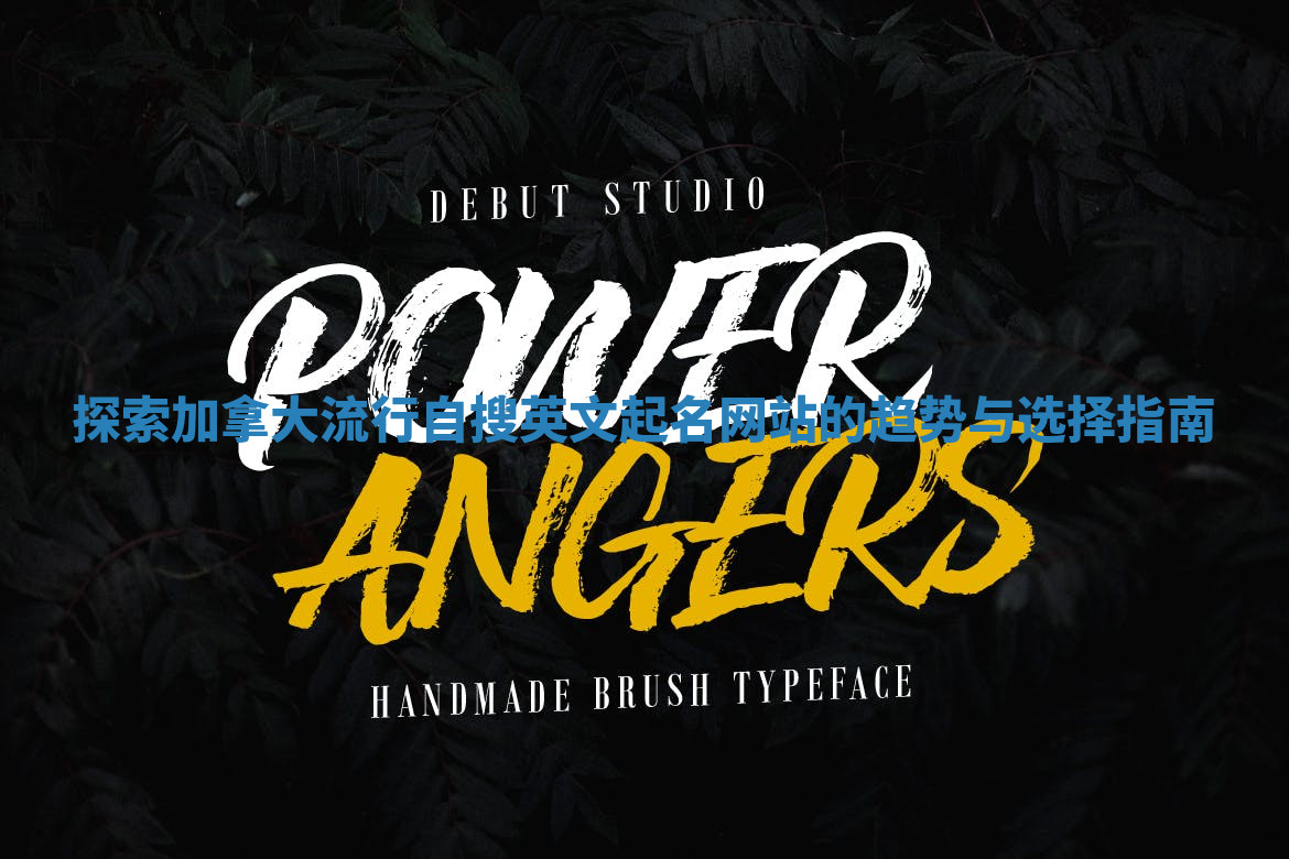 探索加拿大流行自搜英文起名网站的趋势与选择指南 探索加拿大流行自搜英文起名网站的趋势与选择指南