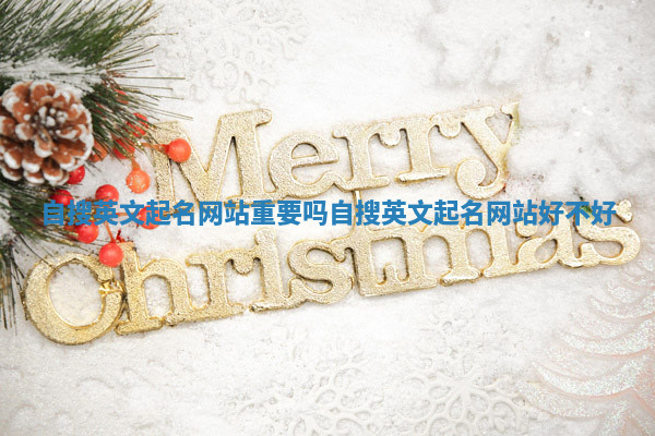 自搜英文起名网站重要吗 自搜英文起名网站好不好 自搜英文起名网站重要吗 自搜英文起名网站好不好